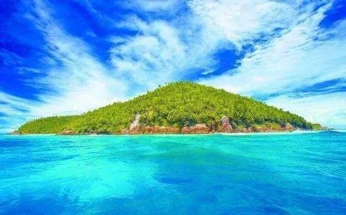 阿尔的派对夜