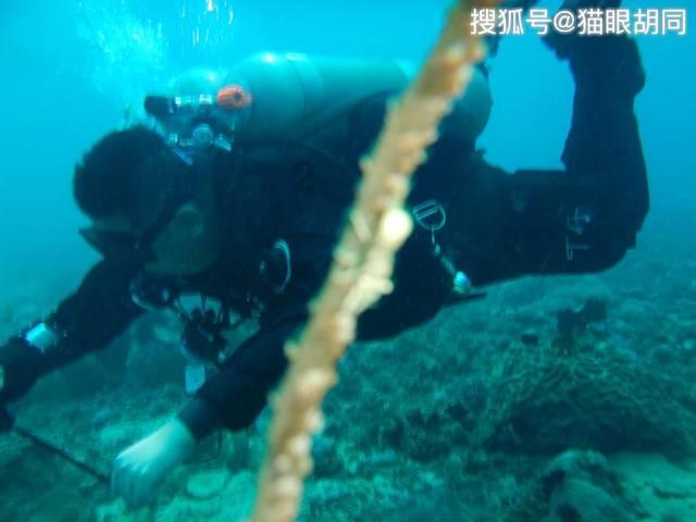 顶级寿司店