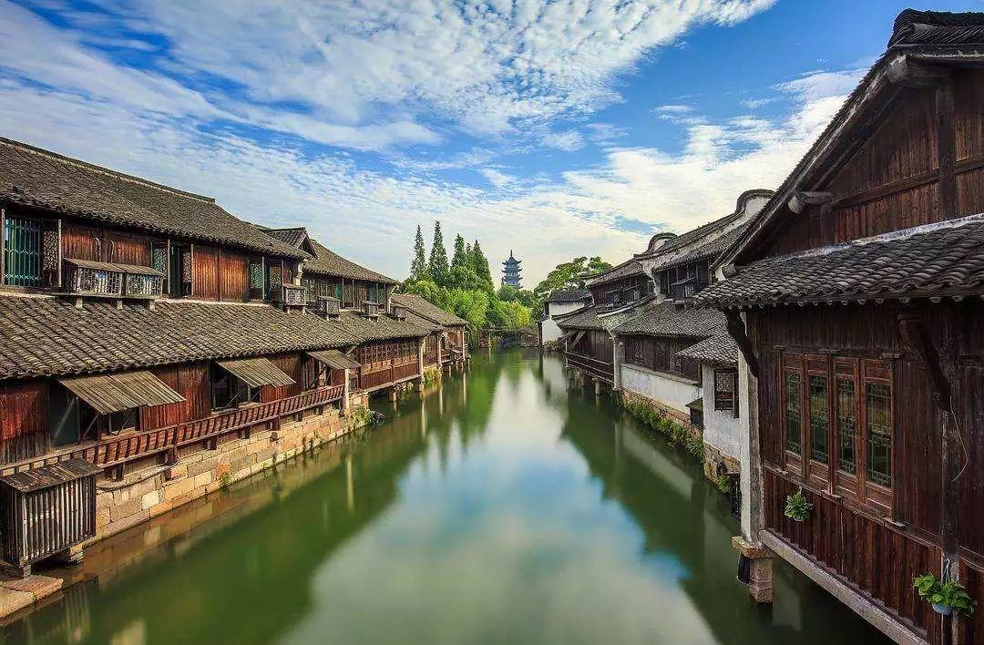 板角牛内丹在哪游戏画面